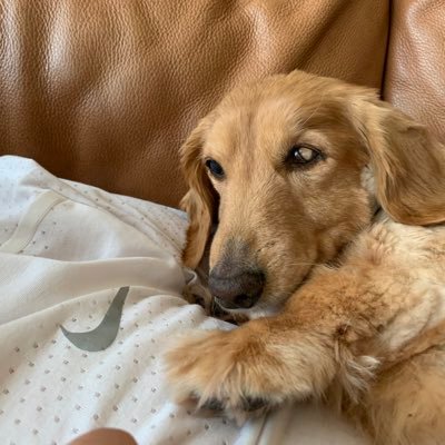 nPEJL8c4eX57123's profile picture. 