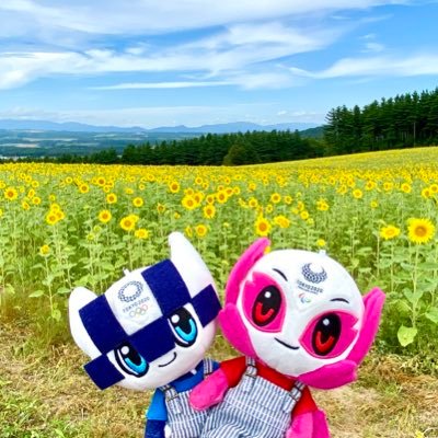 ミライトワとソメイティが大好き💙🌸ミラソメ存続希望💙🌸もずやん💕ひこにゃん💕ぬい撮り挑戦中📸🔰のんびりやっていきます🍀✨