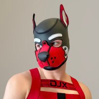 Pup Clifford (@thepupclifford) 's Twitter Profile Photo Pup Clifford (@thepupclifford) 's Twitter Profile Photo