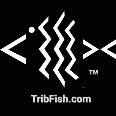 TribFish Profile Picture