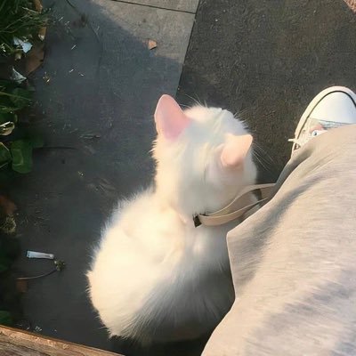 Udhpunyaa's profile picture. @PratamaMuhamm18 Privacy.