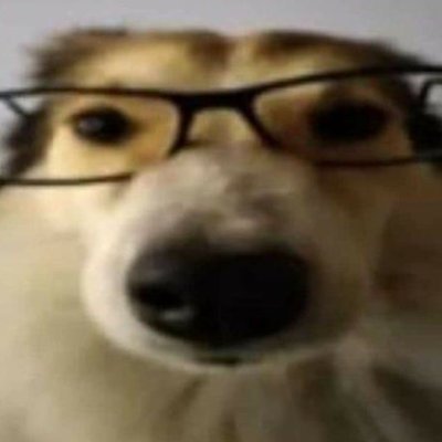 imsorry540888's profile picture. 