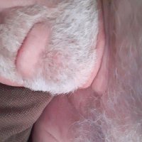 James (@jamesmo08441509) 's Twitter Profile
