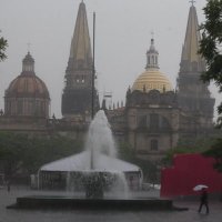 Jalisco Unido 2024(@JaliscoUnido24) 's Twitter Profile Photo