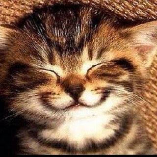 epohi_tou_sanou's profile picture. The total complexity of life is astounding, which is only to be expected for a many billion year old software project "Bert Hubert"