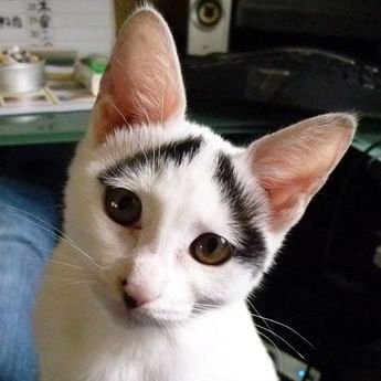 tcsc65ml1's profile picture. 