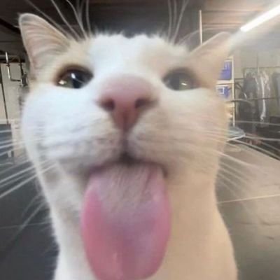 LUVS4X's profile picture. 