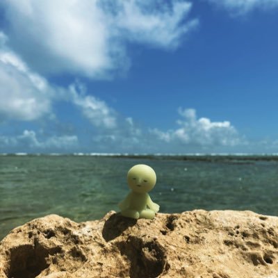 moka_toki910's profile picture. なかじょうといいます。沖縄NSC13期生/桃花鳥（トキ）/四面楚歌