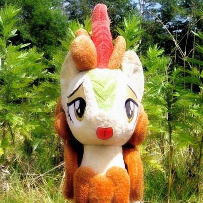 布麒麟さんのプロフィール画像