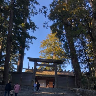 insyokugyoumu's profile picture. 人生チャレンジ