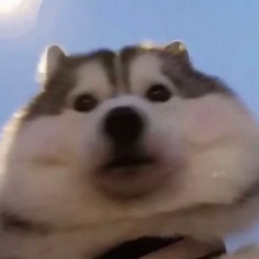 Fluffykook297's profile picture. 