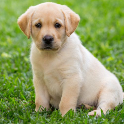 Ananya3458's profile picture. 