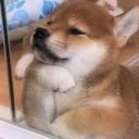 Joshua Lanthier - @Pollo7302 - Twitter