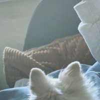 あぴる (@iiyrhlm0esofkhg) 's Twitter Profile Photo