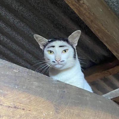 X__nxn_001's profile picture. ฝากติดตามด้วยครับ เอาไว้ลงรูป