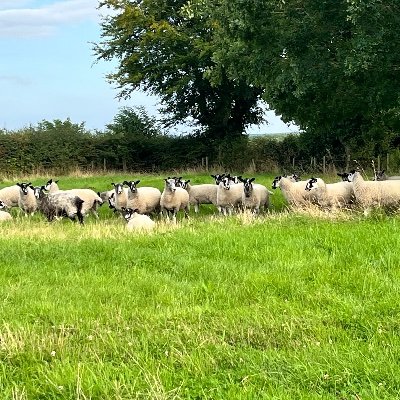 Fair to nature farming in the Vale of York