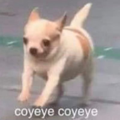 davidzafrom's profile picture. 