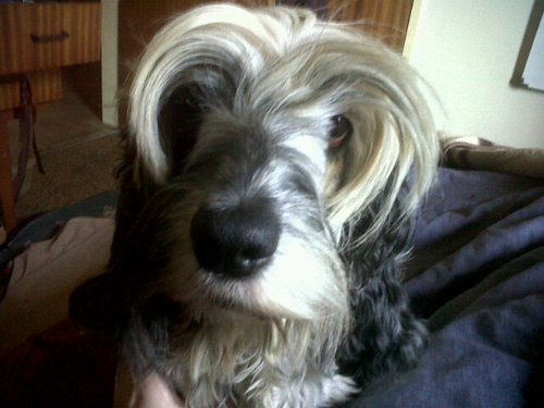 Dalahtjie's profile picture. Carpe Diem!