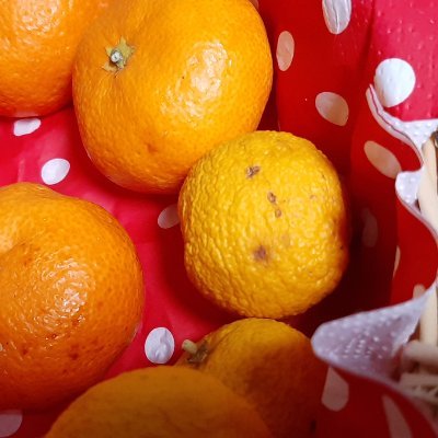 oekakitogame's profile picture. まいにち少しづつ
前進あるのみ！｡｡｡"8-(*o･ω･)