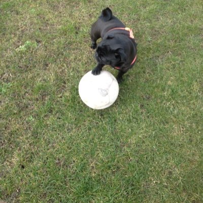 Michael53211286's profile picture. Llanelli boy living in 🇪🇸 Spain