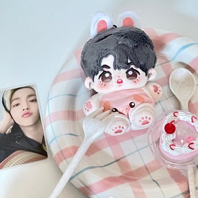 🐰10cm S.COUPS DOLL 💎🍒   🇨🇳 Plz DM me if you want to open G.O 「兔澈哩」「崔不耐烦」 🍊20cm Seungkwan doll「蜜柑」 每晚9点统一回复消息