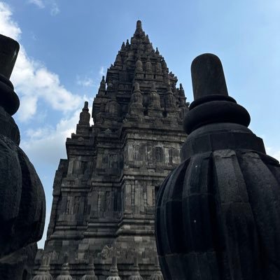 thomasjassem's profile picture. Un voyageur fou