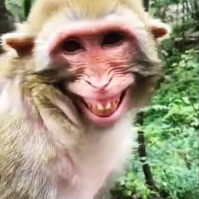 MrJ676882848848's profile picture. 