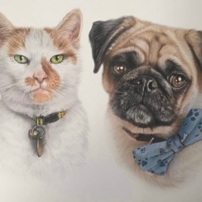 Marley the pug and Jasper cat 🌈. We love all dogs and cats! I was born on 16 Feb 2020. We love to spread pawsitivity over Twitter. I love pom poms and pegs.