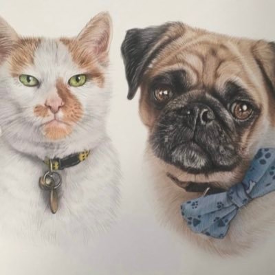Marley the pug and Jasper cat 🌈.We love all dogs & cats! I was born on 16 Feb 2020.We love to spread pawsitivity over Twitter. I love pom poms and pegs.