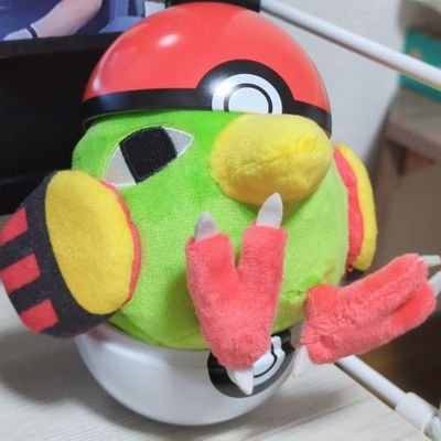 ハシビロさんのプロフィール画像