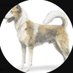Ordinarypathtaker (@ordinarypathta1) Twitter profile photo Ordinarypathtaker (@ordinarypathta1) Twitter profile photo