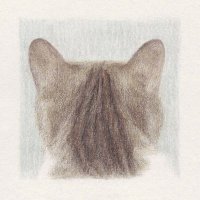 V TΛVl (@vtavieffect) 's Twitter Profile