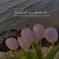 للأجر🕊 (@2097am) 's Twitter Profile Photo للأجر🕊 (@2097am) 's Twitter Profile Photo