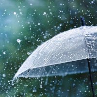 ديـــم🌧️ (@nsrawyta2022) 's Twitter Profile
