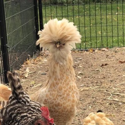 topher26's profile picture. huff