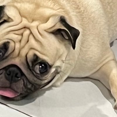 ahyong9292's profile picture. 