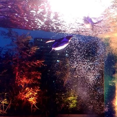 空朱李さんのプロフィール画像