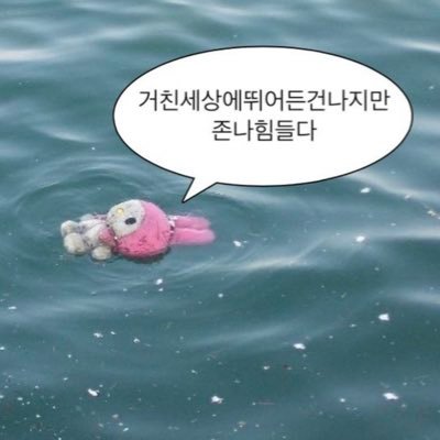 투자, n잡, 경제, 환경, 인문, 운동과 다이어트, 요리, 청소(?), 위생(?) 관심있어요 / 맞팔은 언제나 환영