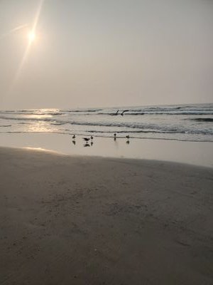 DaydreamerLJH's profile picture. 