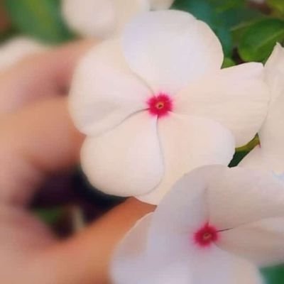 لا تنتظر لطفاً من أحد ، تعلم أن العطاء والإحسان تعامل وليس تبادل.