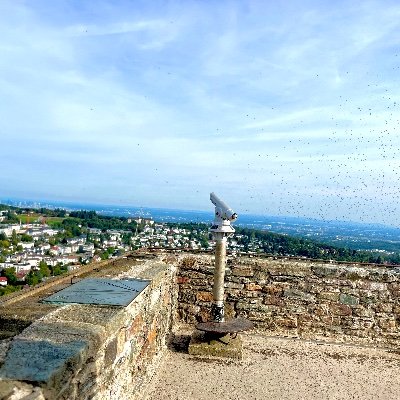 SmartStrikes004 🇩🇪 Profile