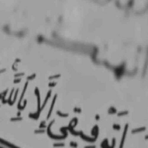 dodo_4040_'s profile picture. (اللَّهُمَّ أَحْسِنْ عَاقِبَتِي في الأُمور كُلِّهَا، وَأَجِرْنِي مِنْ خِزْيِ الدُّنْيَا، وَعَذَاب الآخِرَةِ).               اللهم اجعلني غيثًا أينما حلّ نفع☁️💦