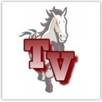 Tri-Valley Mustangs (@tvmustangs) 's Twitter Profile