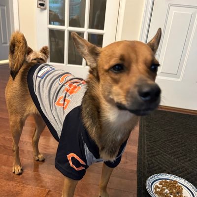 PABearsFan521's profile picture. Chicago Bears 🐻⬇️ Indiana Fever🔥🏀The Office