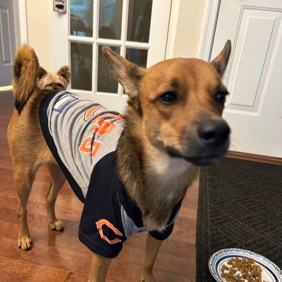 PABearsFan521 Profile Picture