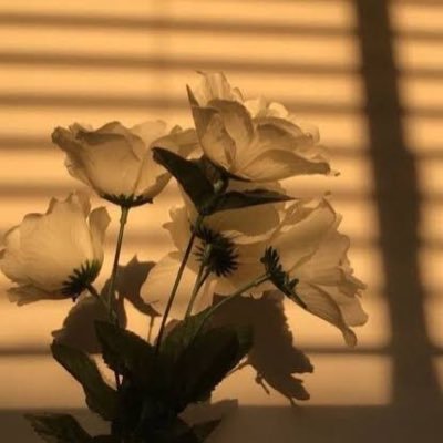 thoughts929's profile picture. Daily Thoughts 💭