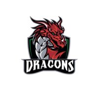 Dragons Girls Hub @ Dunvant RFC(@dragonsdunvant) 's Twitter Profile Photo