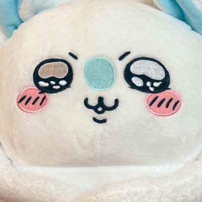 ふーちゃん (@cigitteko_ze) / X ふーちゃん (@cigitteko_ze) / X