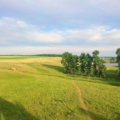 vladimir37202's profile picture. 