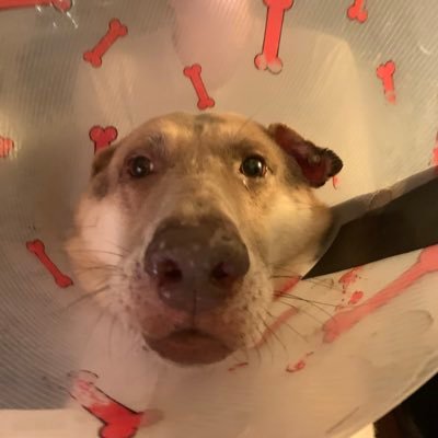 Angleberge80082's profile picture. 